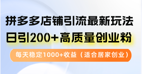 拼多多店铺引流最新玩法，日引200+高质量创业粉，每天稳定1000+收益(...-萤火网创