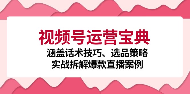 视频号运营宝典：涵盖话术技巧、选品策略、实战拆解爆款直播案例-萤火网创