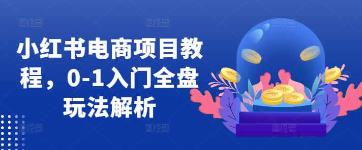 小红书电商项目教程，0-1入门全盘玩法解析-萤火网创