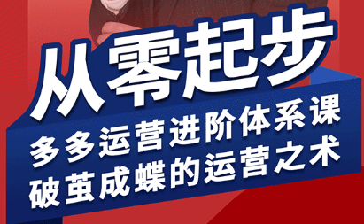 海神·拼多多运营进阶系统课(更新9月)-萤火网创