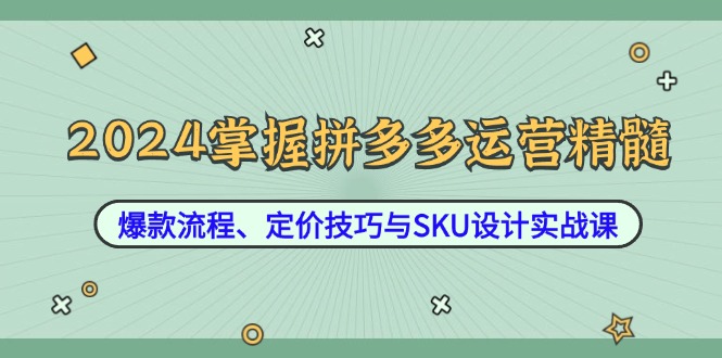 2024掌握拼多多运营精髓：爆款流程、定价技巧与SKU设计实战课-萤火网创