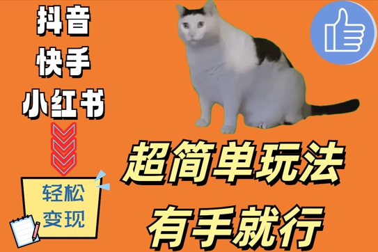 超简单玩法，有手就行，靠猫咪视频日入500+【揭秘】-萤火网创