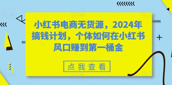 小红书电商无货源，2024年搞钱计划，个体如何在小红书风口赚到第一桶金-萤火网创
