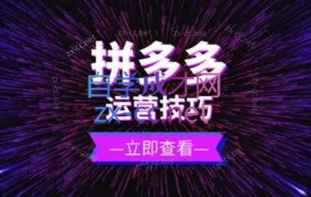 力辛电商·拼多多强付费店群玩法-萤火网创