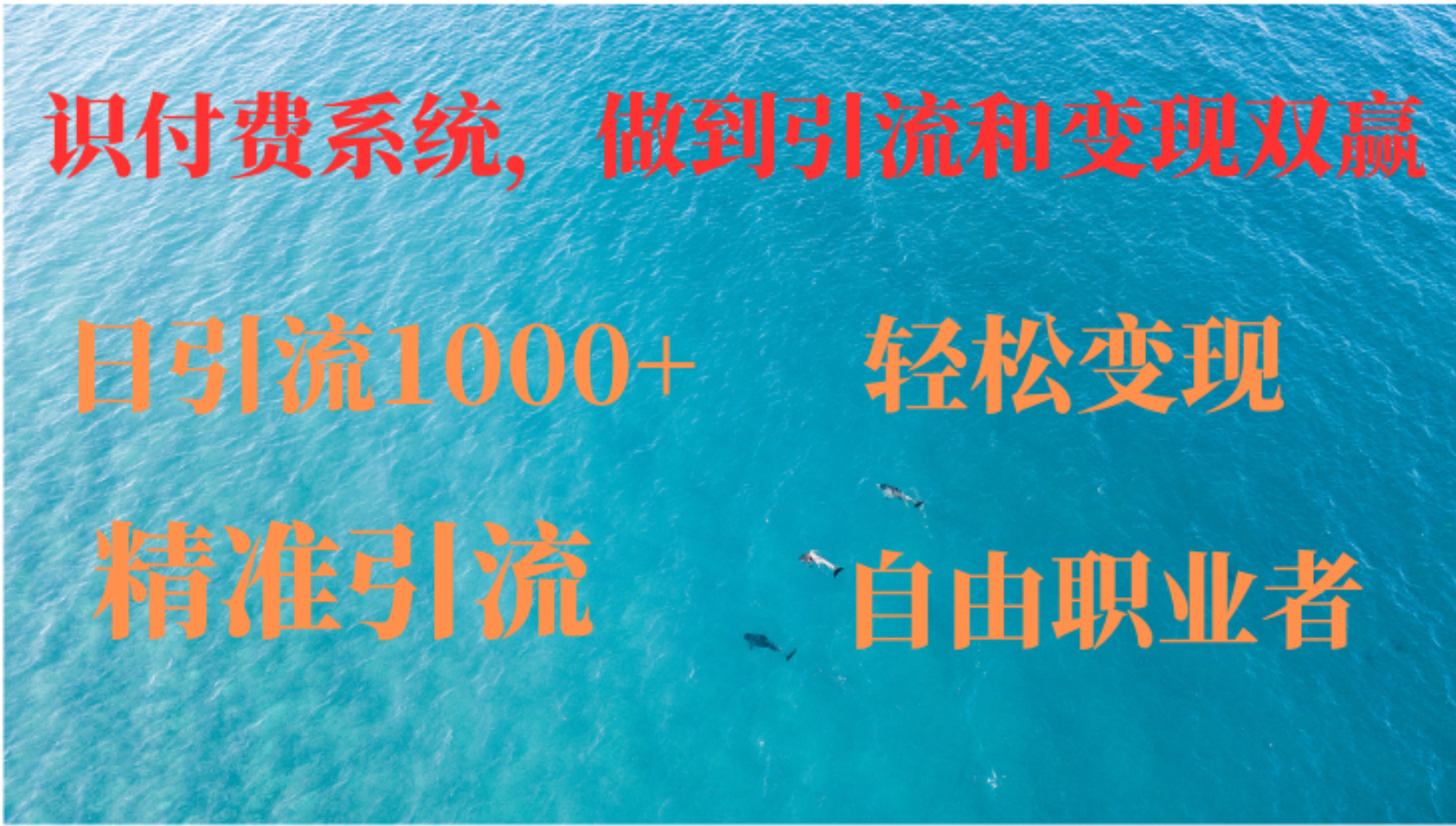 如何搭建自己的知识付费系统，做到引流和变现双赢-萤火网创