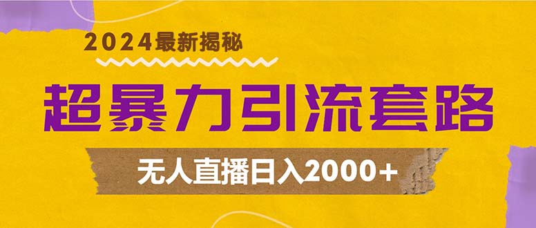 超暴力引流套路，无人直播日入2000+-萤火网创