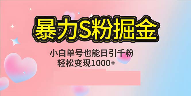 单人单机日引千粉，变现1000+，S粉流量掘金计划攻略-萤火网创