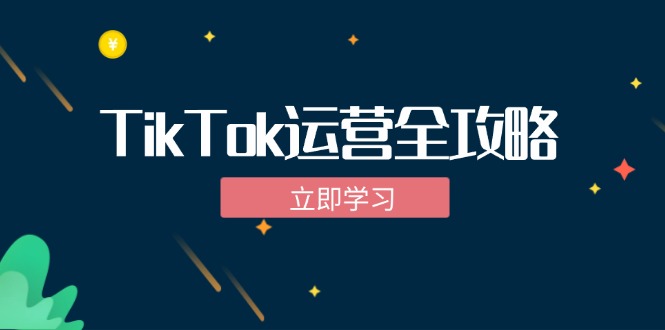 TikTok实战运营全攻略：从下载软件到变现，抖音海外版实操教程-萤火网创