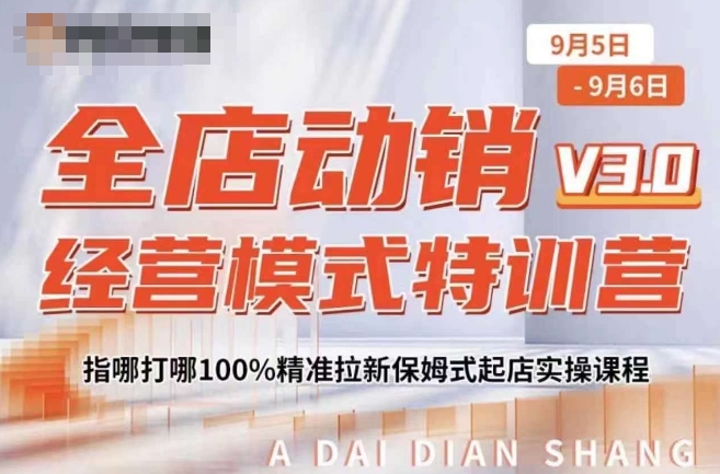全店动销经营模式特训营，指哪打哪100%精准拉新保姆式起店实操课程-萤火网创