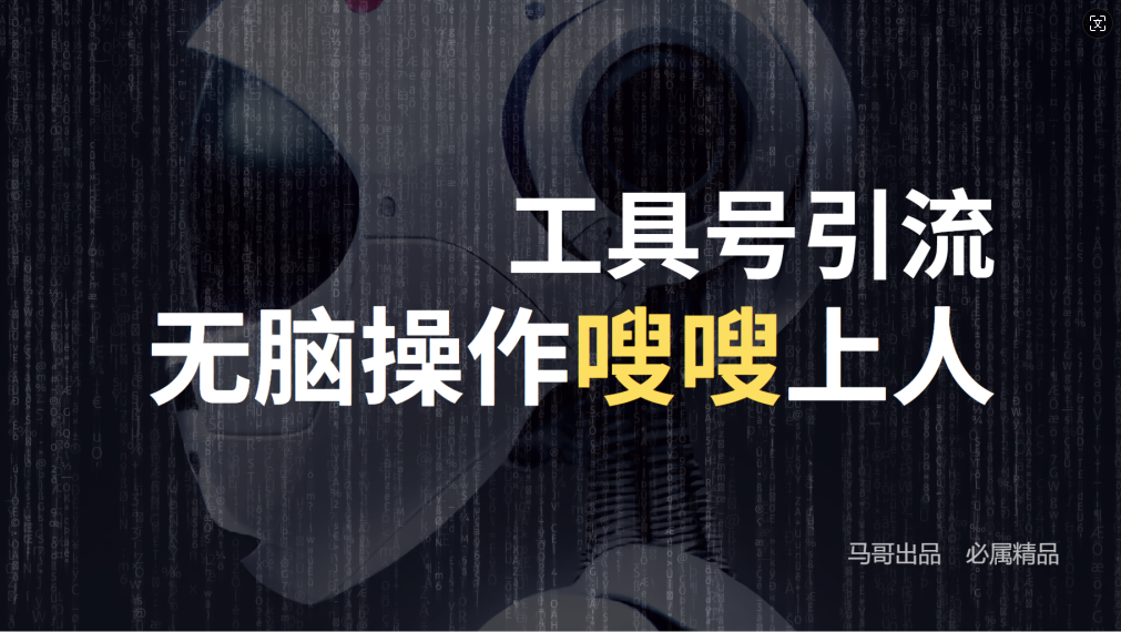 24年抖音最新工具号日引流300+创业粉，日入5000+-萤火网创