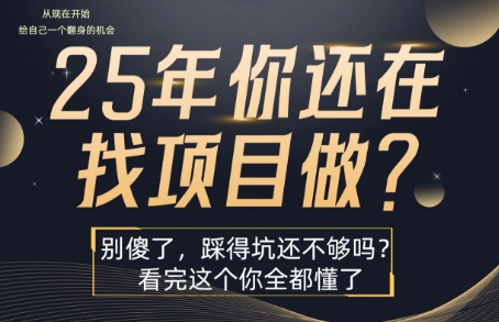25年，你还在疯狂的找项目吗？别傻了，看完这个你都懂了【揭秘】-萤火网创