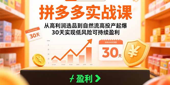 拼多多实战课：从高利润选品到自然流高投产起爆 30天实现低风险可持续盈利-萤火网创