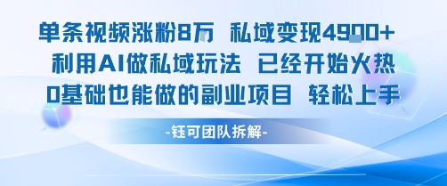 单条视频私域变现4.9k+利用AI做私域玩法 已经开始火热0基础也能做的副业项目轻松上手-萤火网创