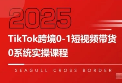 大亿老师·TikTok跨境0-1短视频带货-萤火网创