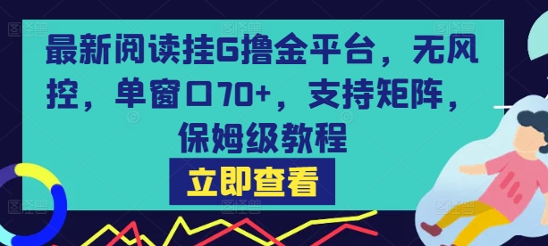 最新阅读挂G撸金平台，无风控，单窗口70+，支持矩阵，保姆级教程【揭秘】-萤火网创