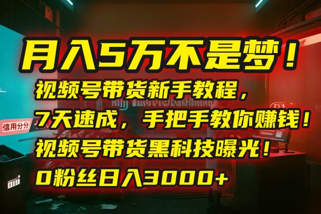 月入5万不是梦！视频号带货新手教程，7天速成，手把手教你赚钱！视频号...-萤火网创