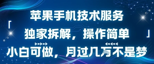 苹果手机技术服务，独家拆解，操作简单，小白可做，月过1W不是梦-萤火网创