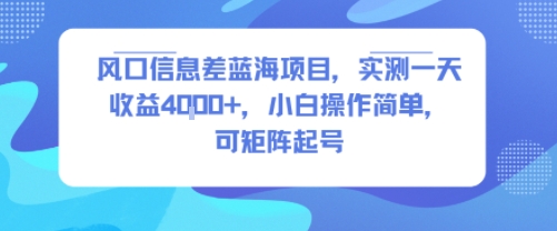 风口信息差蓝海项目，实测一天收益4k+，小白操作简单，可矩阵起号-萤火网创