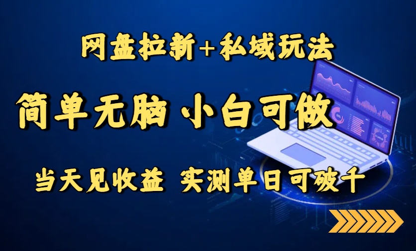 网盘拉新+私域玩法，简单无脑，小白可做，当天见收益，实测单日可破千-萤火网创