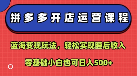 拼多多开店运营课程：蓝海变现玩法，轻松实现睡后收入，零基础小白也可日入5张-萤火网创
