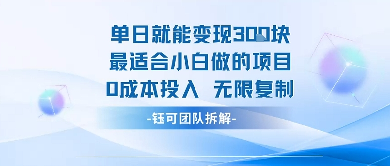 单日就能变现3张最适合小白做的项目0成本投入 无限复制-萤火网创