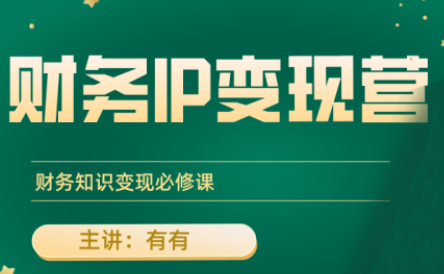 有有老师·财务IP变现营，财务知识变现必修课-萤火网创