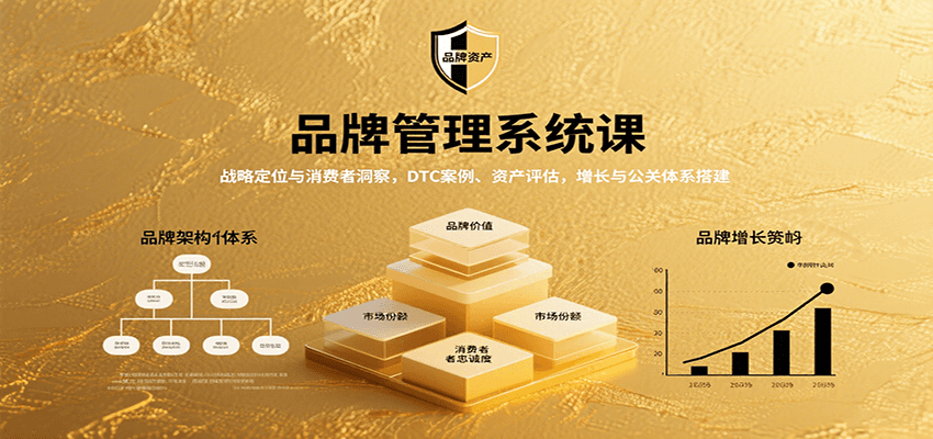 品牌管理系统课：战略定位与消费者洞察，DTC案例、资产评估，增长与公关体系搭建-萤火网创