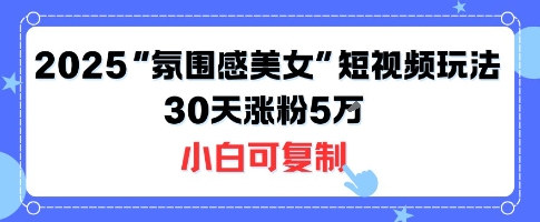 不露脸也能火！2025“氛围感美女”短视频玩法，30天涨粉5W小白可复制-萤火网创