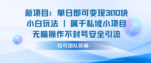 新项目单日即可变现3张的小白玩法无脑操作不封号安全引流-萤火网创