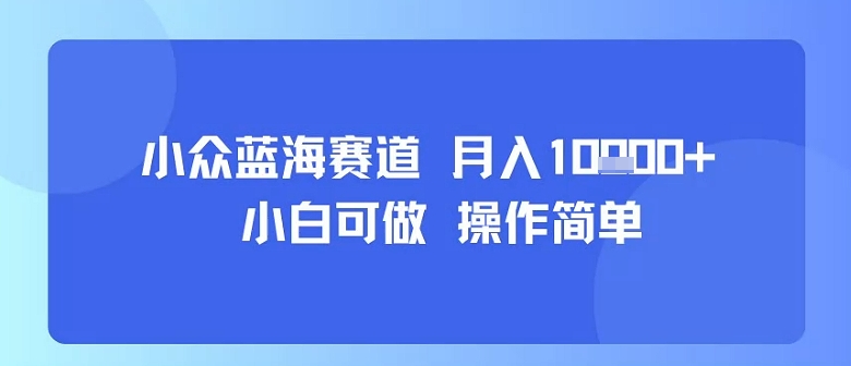 小众蓝海赛道，小白可做，操作简单，每天30分钟，月入1W+-萤火网创