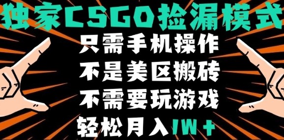 CSGO自动捡漏项目，最新独家玩法，不是美区搬砖，不需要了解和玩游戏，新手小白轻松月入1W+【揭秘】-萤火网创