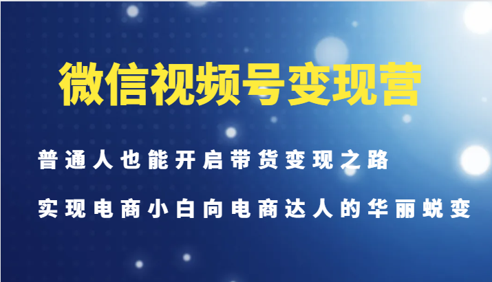 微信视频号变现营-普通人也能开启带货变现之路，实现电商小白向电商达人的华丽蜕变-萤火网创