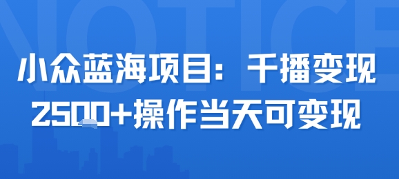 小众蓝海项目，千播变现2.5k+操作当天可变现-萤火网创
