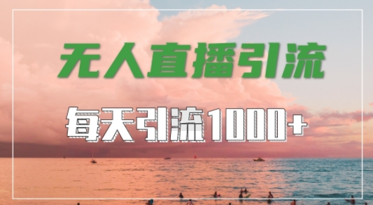 抖音快手视频号全平台通用，无人直播引流法，超暴力引流1000+高质量精准创业粉【揭秘】-萤火网创