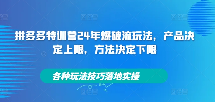 拼多多特训营24年爆破流玩法，产品决定上限，方法决定下限，各种玩法技巧落地实操-萤火网创