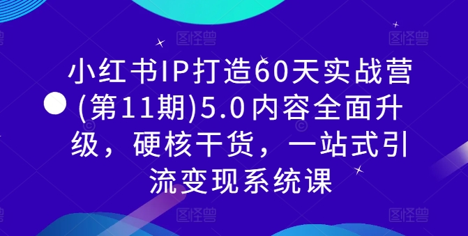 小红书IP打造60天实战营(第11期)5.0​内容全面升级，硬核干货，一站式引流变现系统课-萤火网创