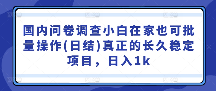 国内问卷调查小白在家也可批量操作(日结)真正的长久稳定项目，日入1k【揭秘】-萤火网创