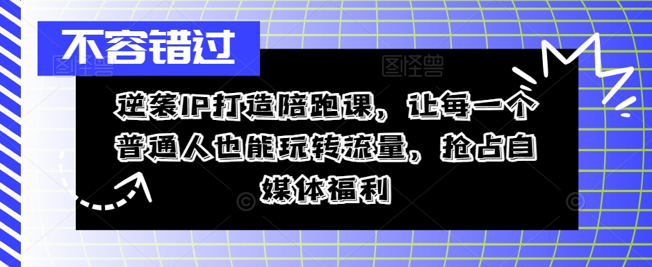 逆袭IP打造陪跑课，让每一个普通人也能玩转流量，抢占自媒体福利-萤火网创